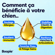 Buppie - Cartilage+