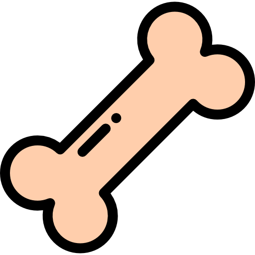 Reconstruction articulaire