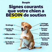 Buppie - Cartilage+