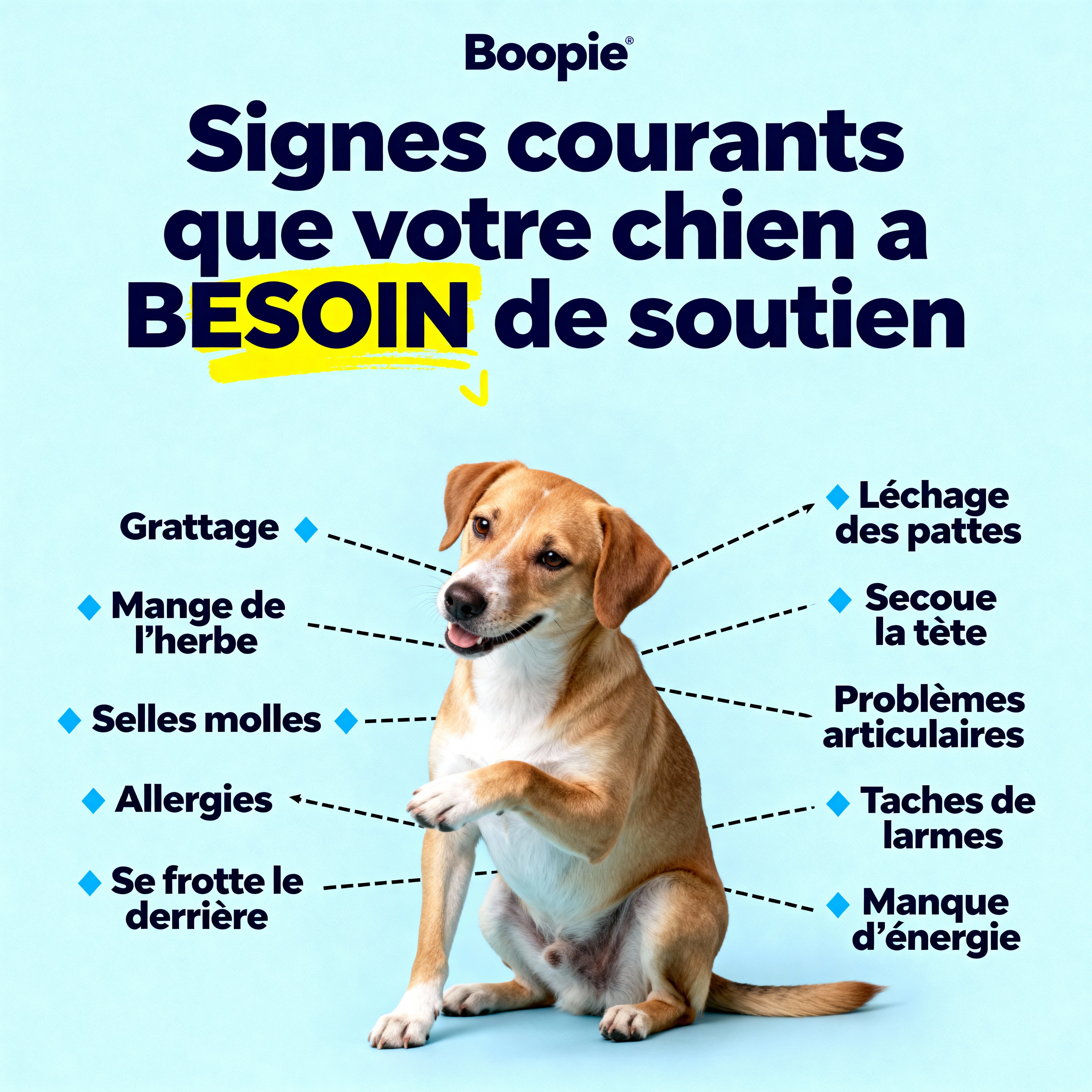 Buppie - Cartilage+