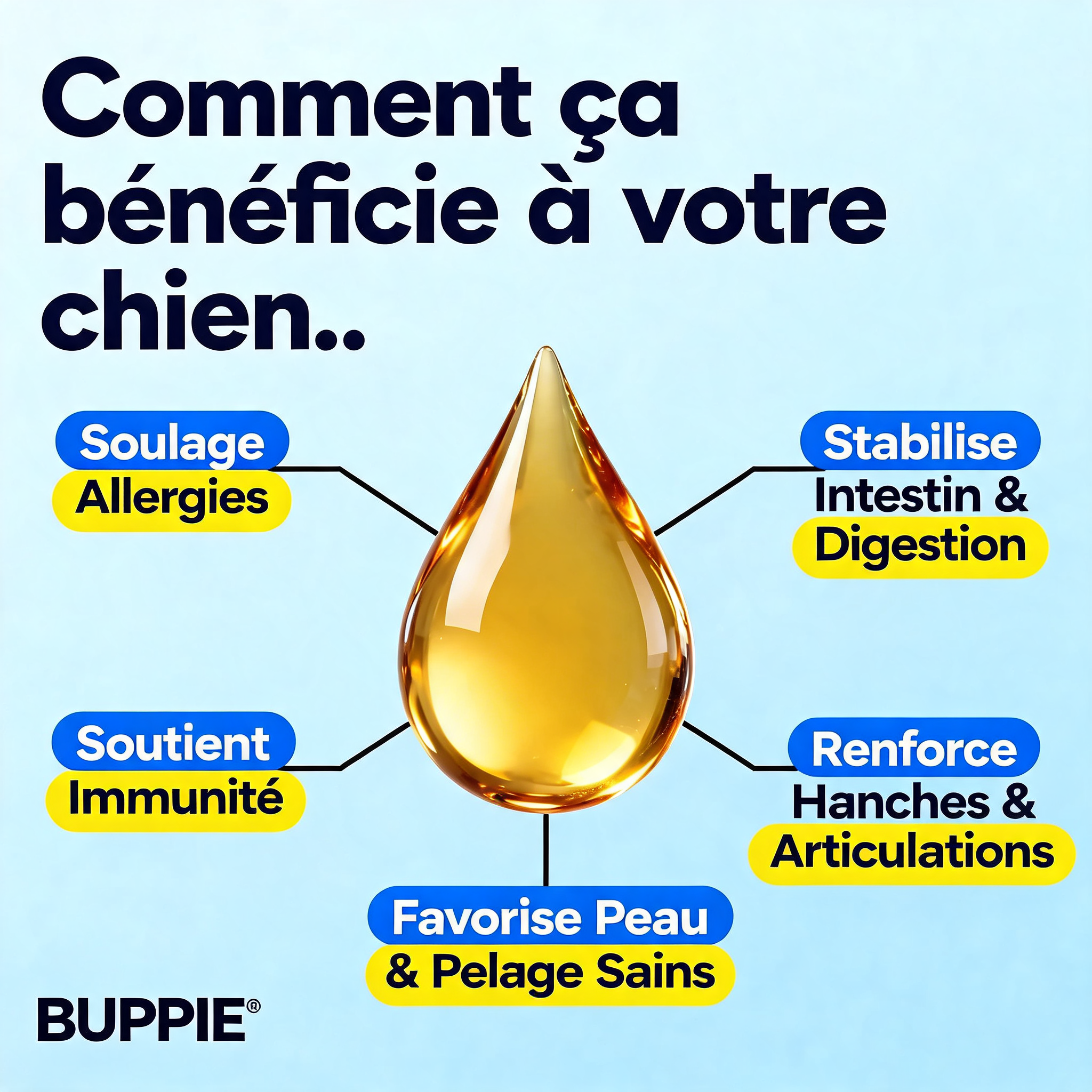 Buppie - Cartilage+