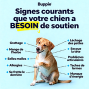 Buppie - Cartilage+