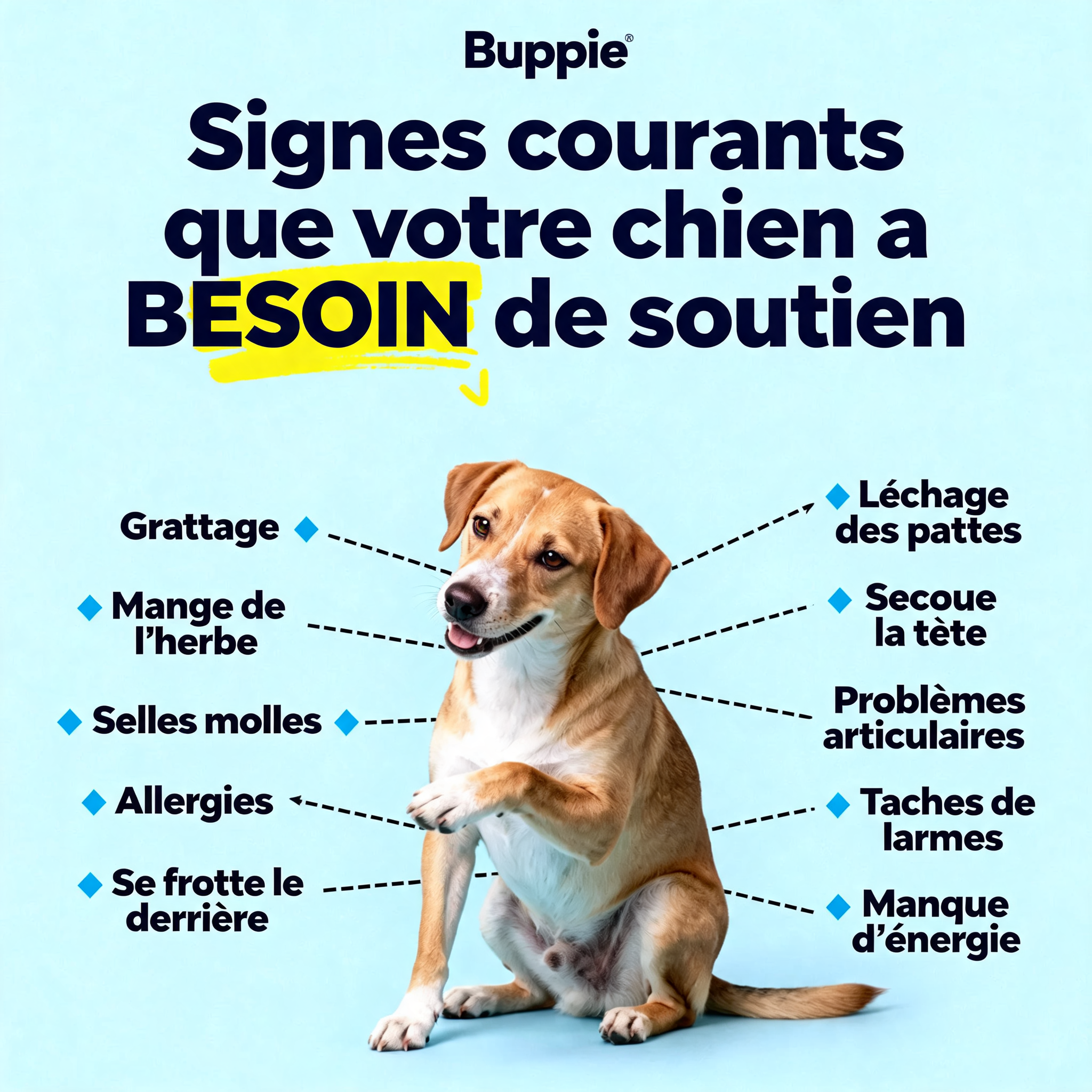 Buppie - Cartilage+