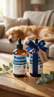 Buppie - Cartilage+